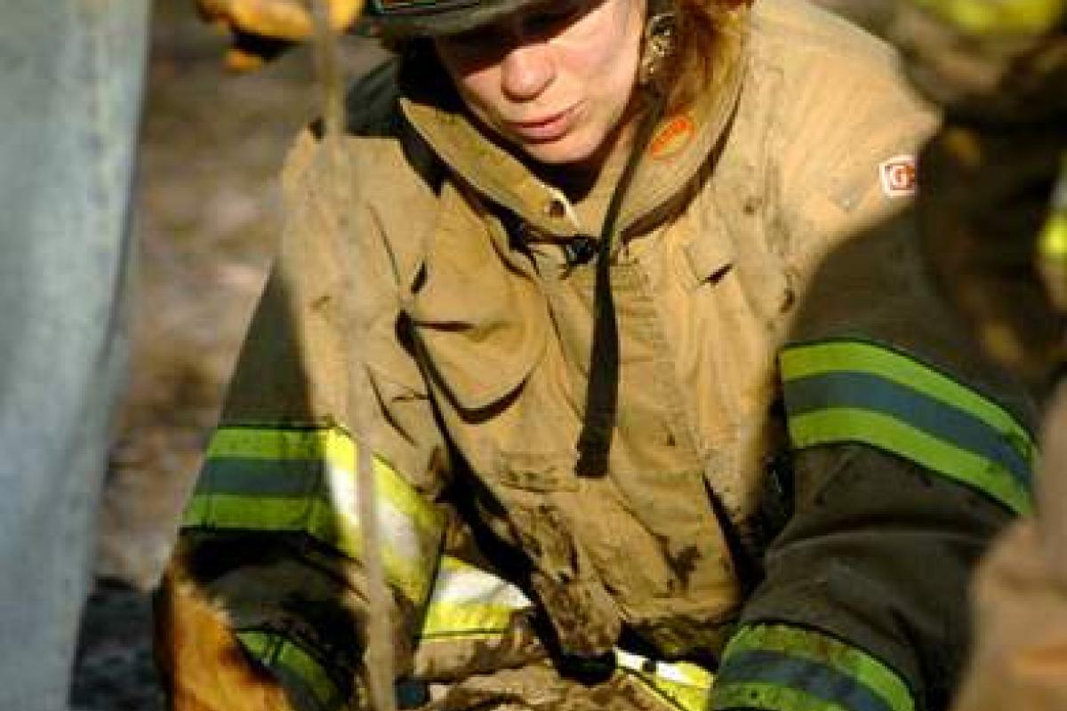 Firefighter Oona Aldrich calms the distressed animal as she and others work to free him from the icy mud