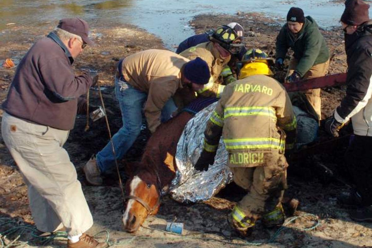 Retired Fire Chief Peter Warren (L) assists with the successful rescue of a horse stuck in the mud